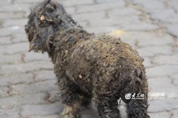 突發(fā)！青島一居民樓發(fā)生爆燃！已造1人死亡，7人受傷！3公里外有震感…